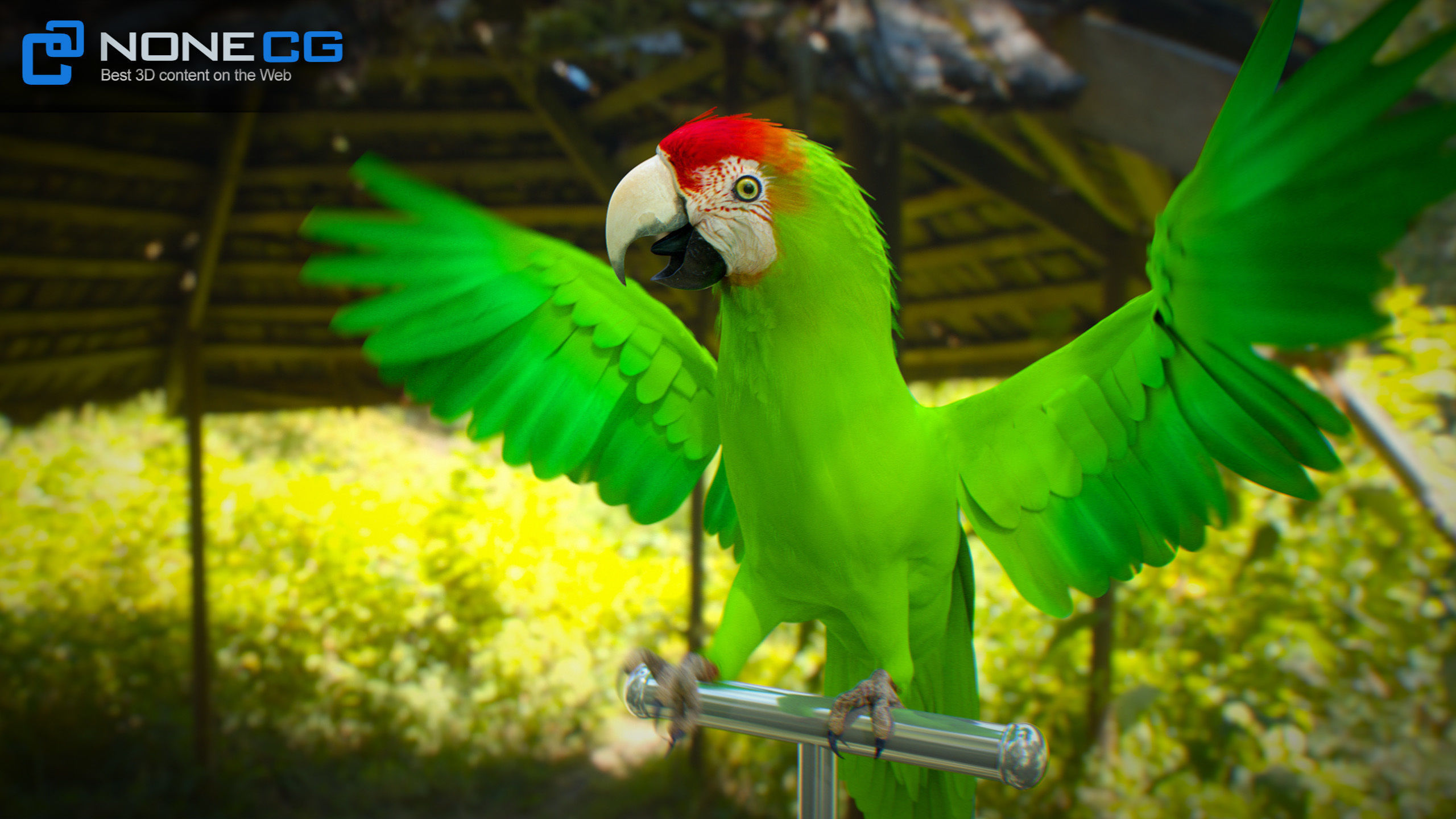 Animated Parrots Pack 3D model_27