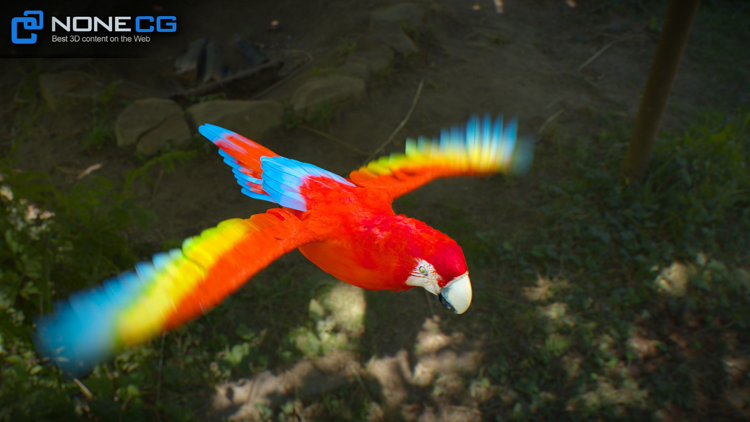 Animated Parrots Pack 3D model_63