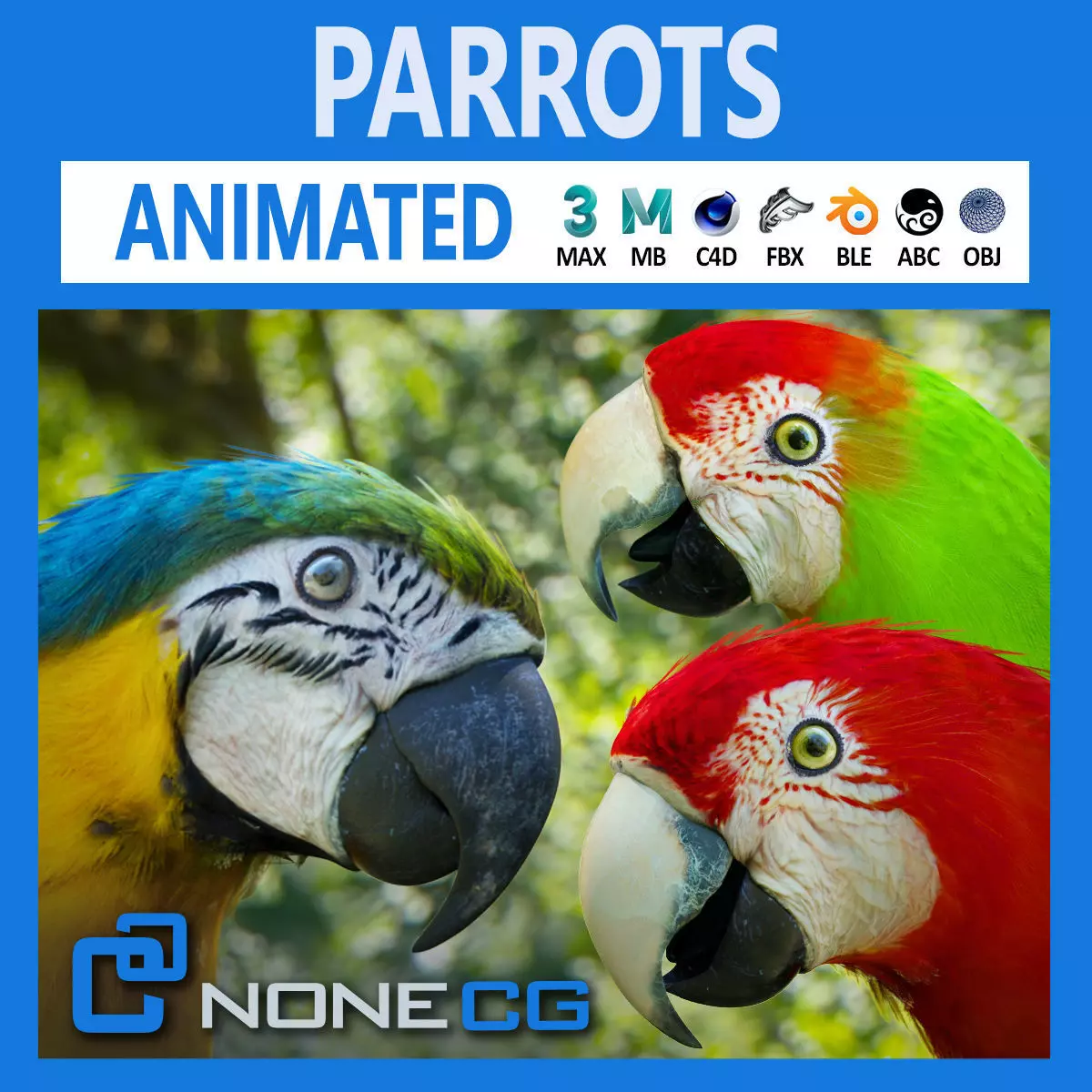 Animated Parrots Pack 3D model_0