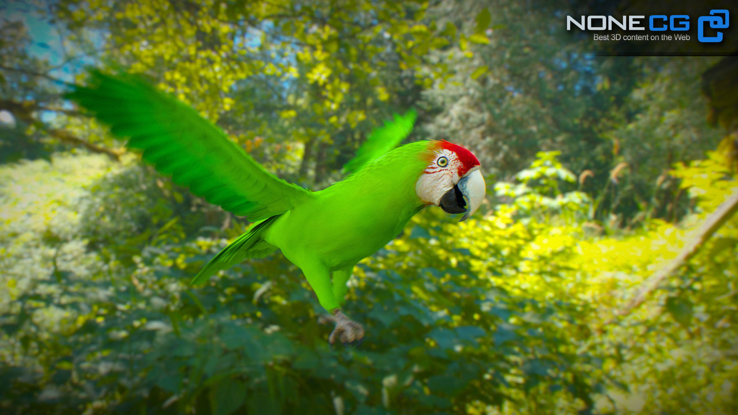 Animated Parrots Pack 3D model_12