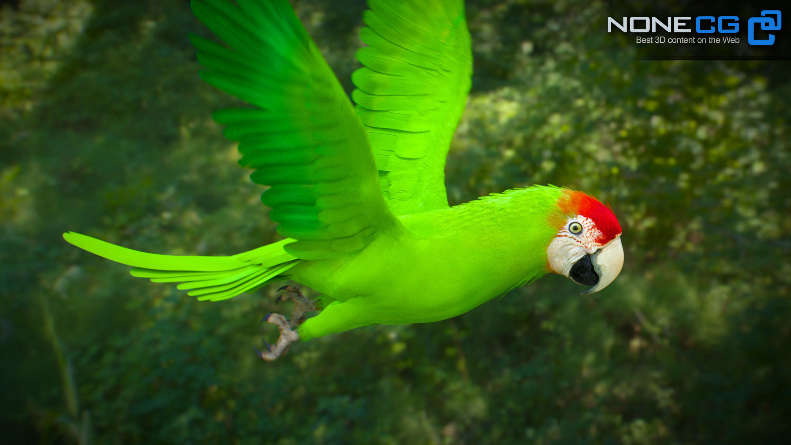Animated Parrots Pack 3D model_35