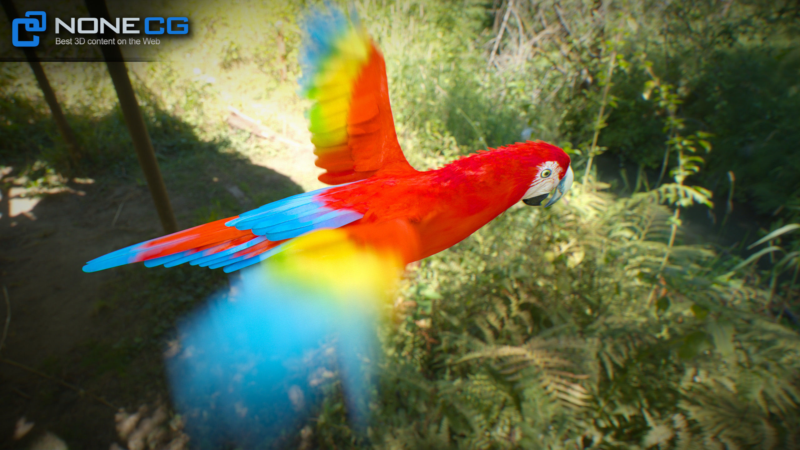 Animated Parrots Pack 3D model_59