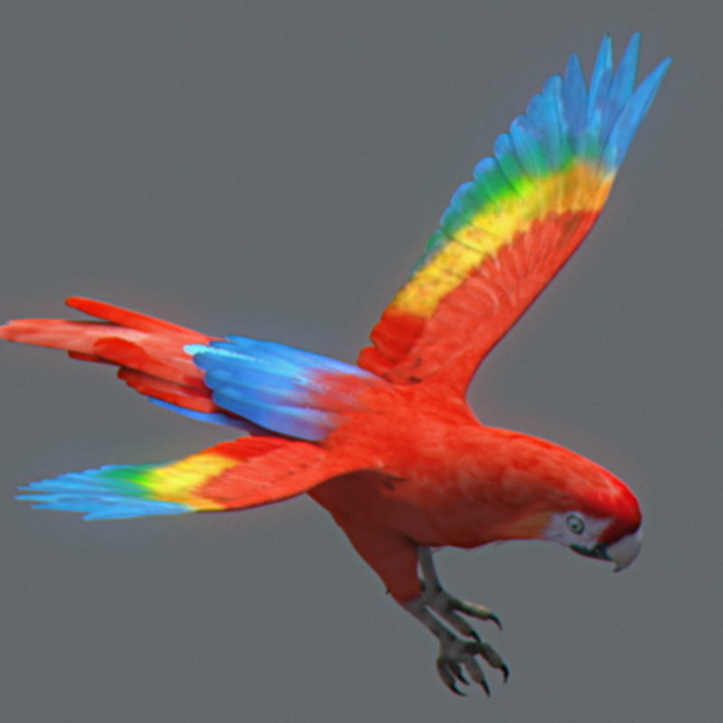 Pack - Wildlife 3D model_33