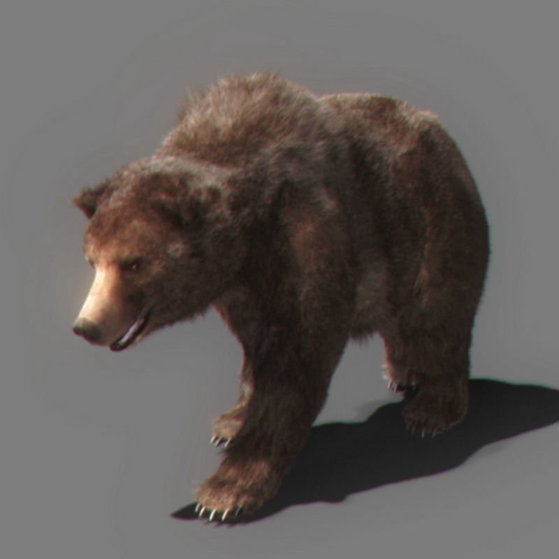 Pack - Wildlife 3D model_15