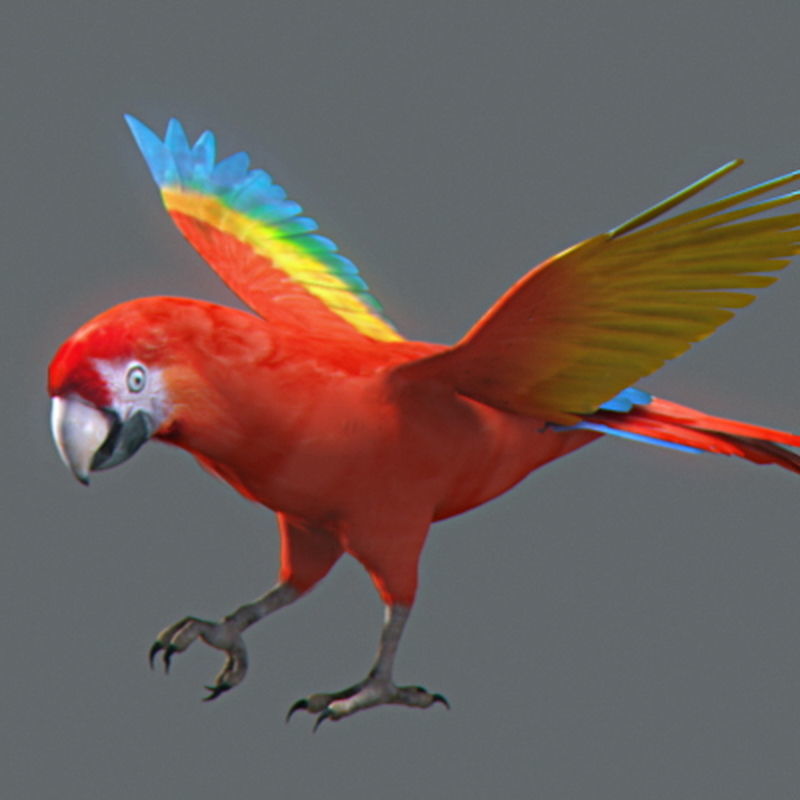 Pack - Wildlife 3D model_32