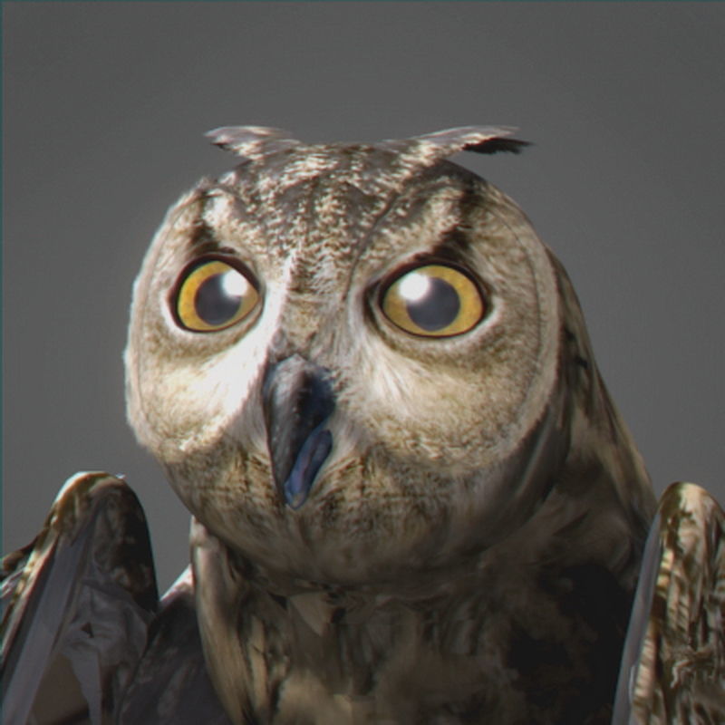 Pack - Wildlife 3D model_24