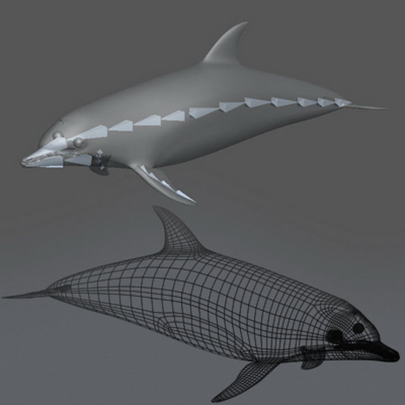 Pack - Wildlife 3D model_3