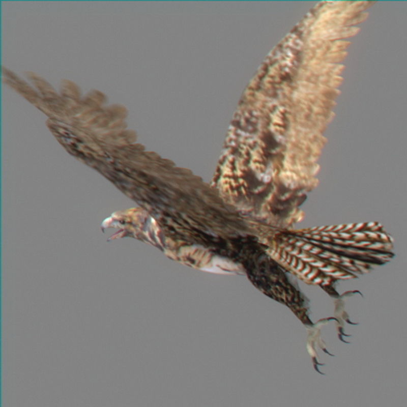 Pack - Wildlife 3D model_17