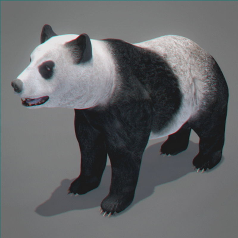 Pack - Wildlife 3D model_29