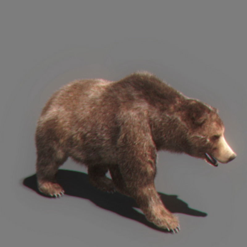 Pack - Wildlife 3D model_14