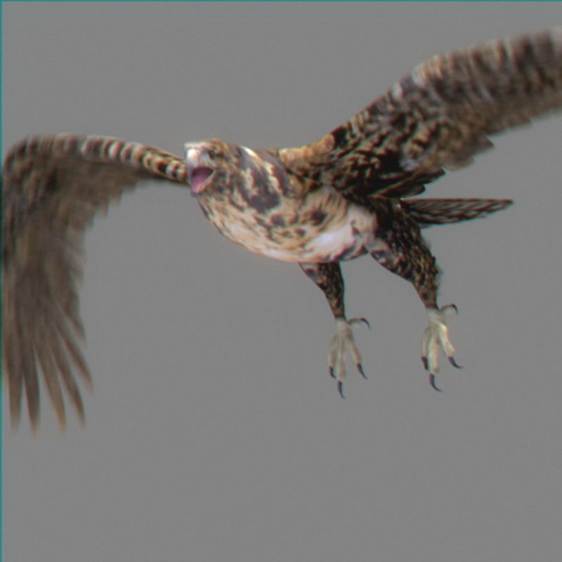 Pack - Wildlife 3D model_18