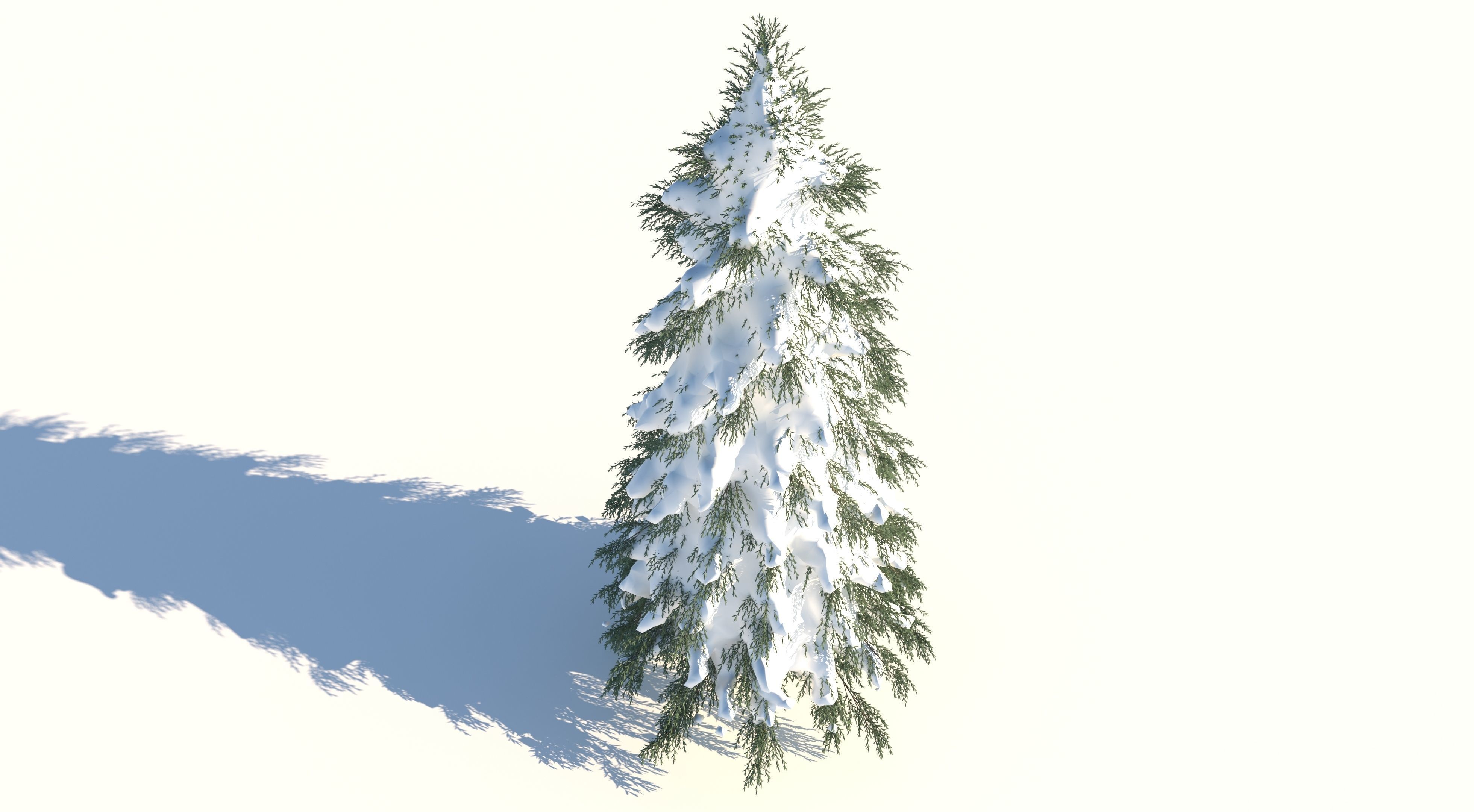 Fraseri Tree 3D model_5
