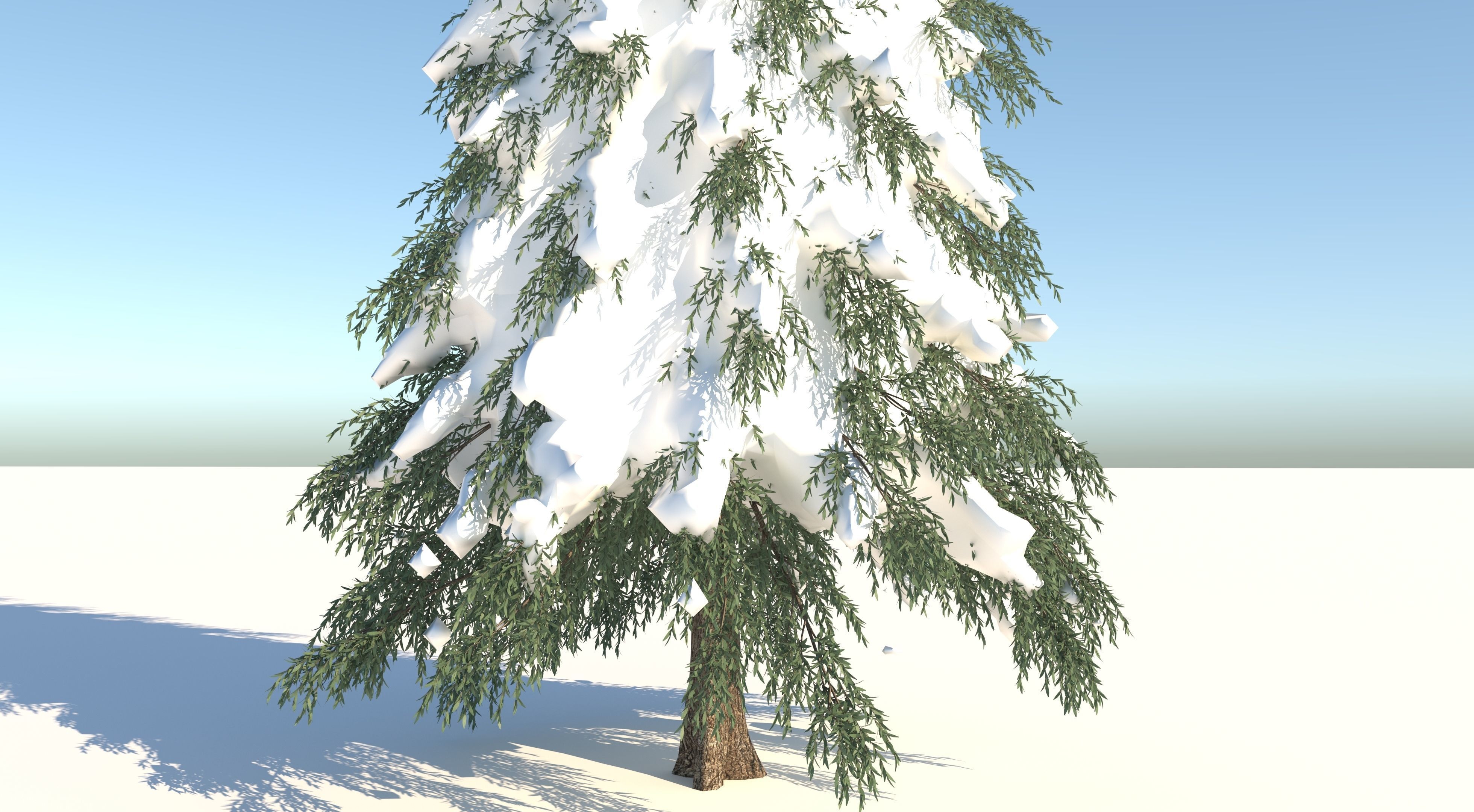 Fraseri Tree 3D model_7