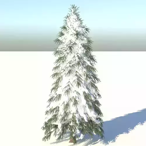 Fraseri Tree 3D model