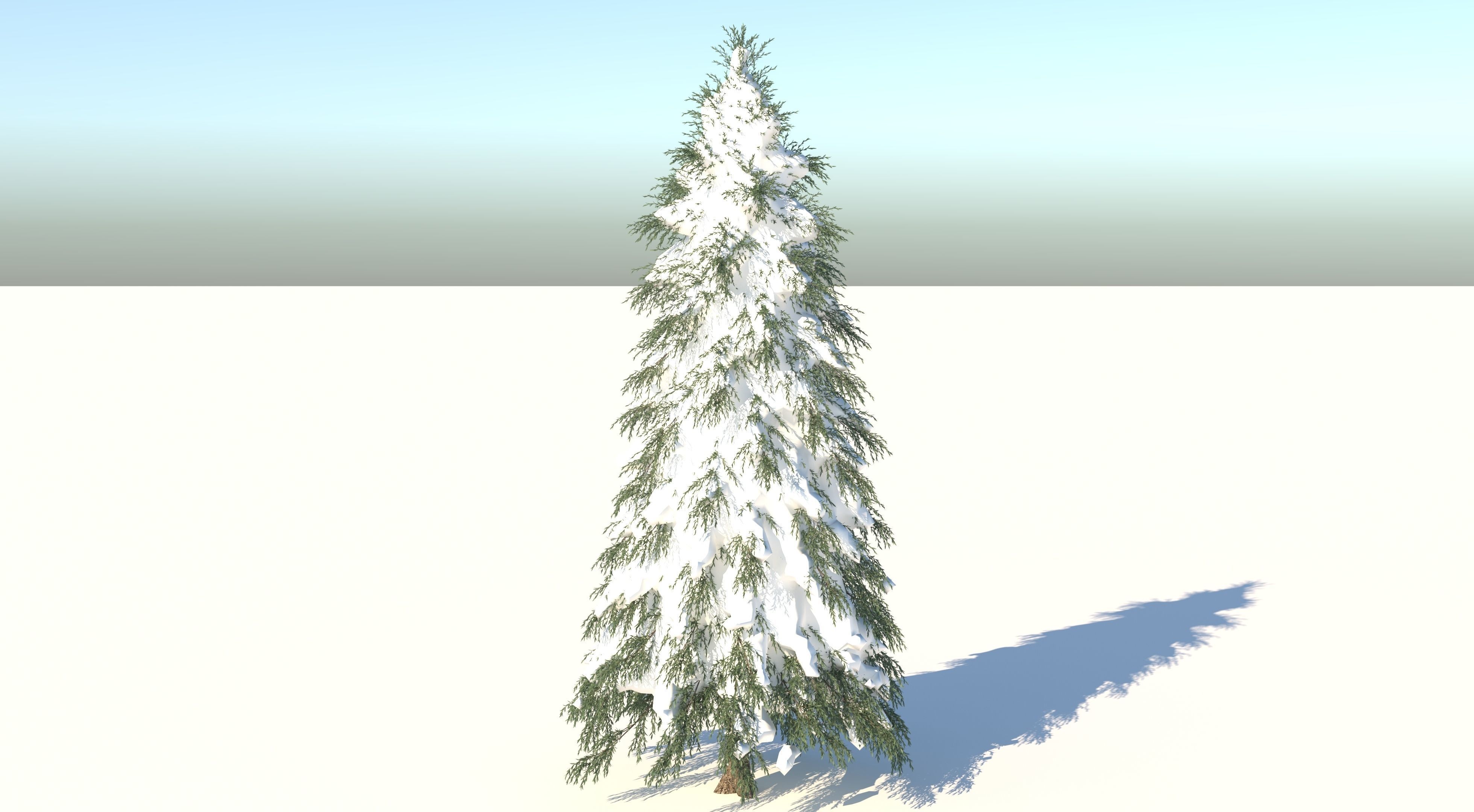 Fraseri Tree 3D model_1