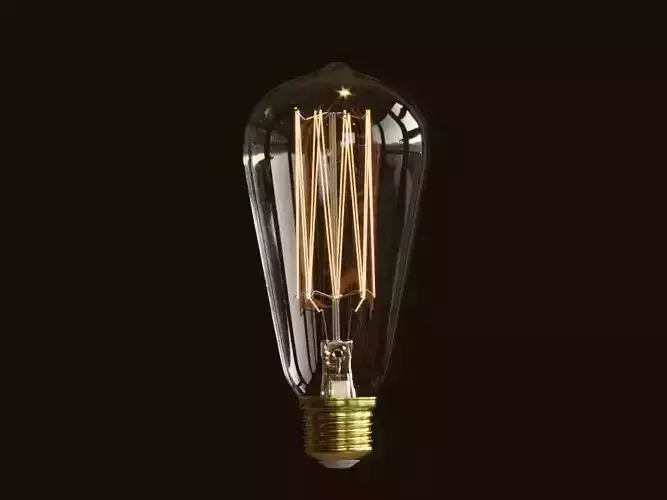 Vintage Incandescent Edison Light Bulb