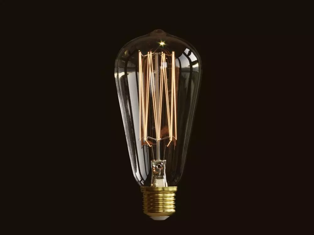 Vintage Incandescent Edison Light Bulb 3D model_0