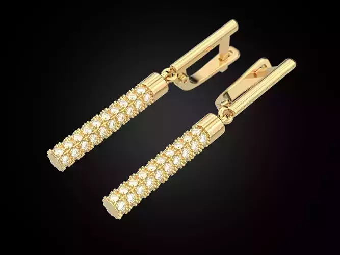 Earrings 17022021 3D print model