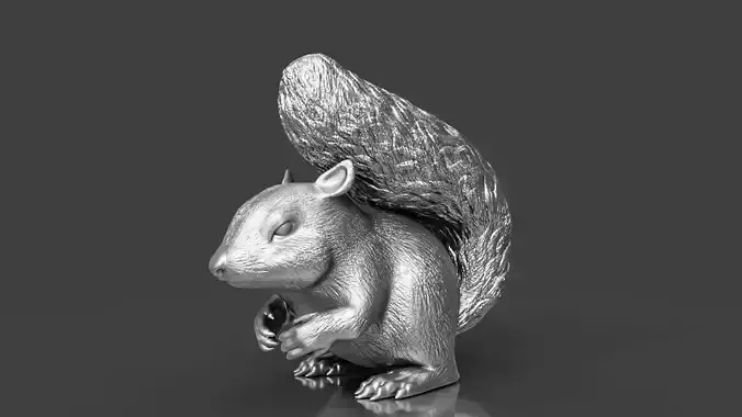 Silver Squirrel