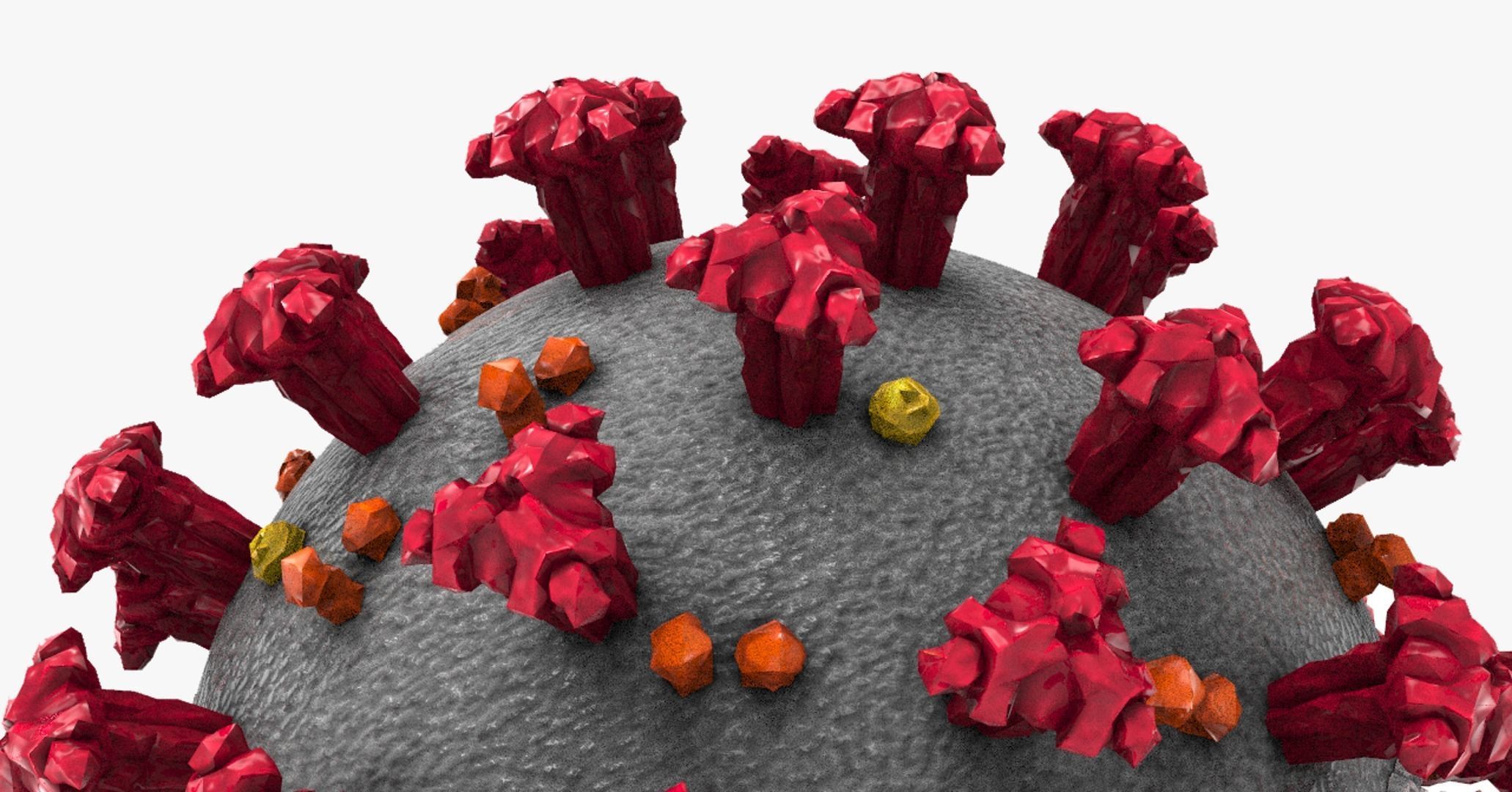 Coronavirus Covid-19 3D model_4