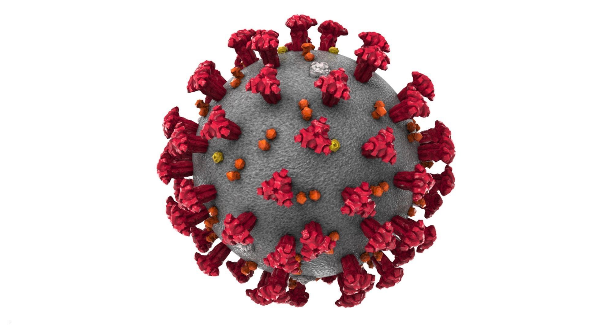 Coronavirus Covid-19 3D model_2