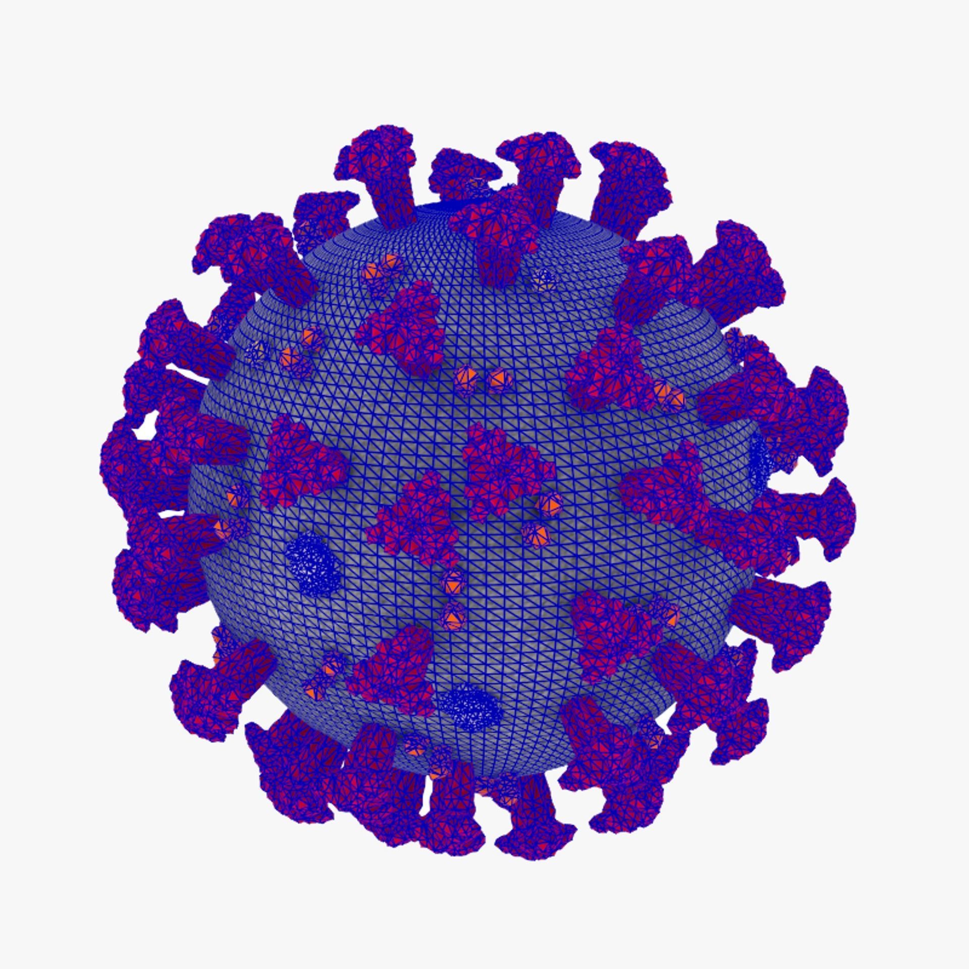 Coronavirus Covid-19 3D model_1