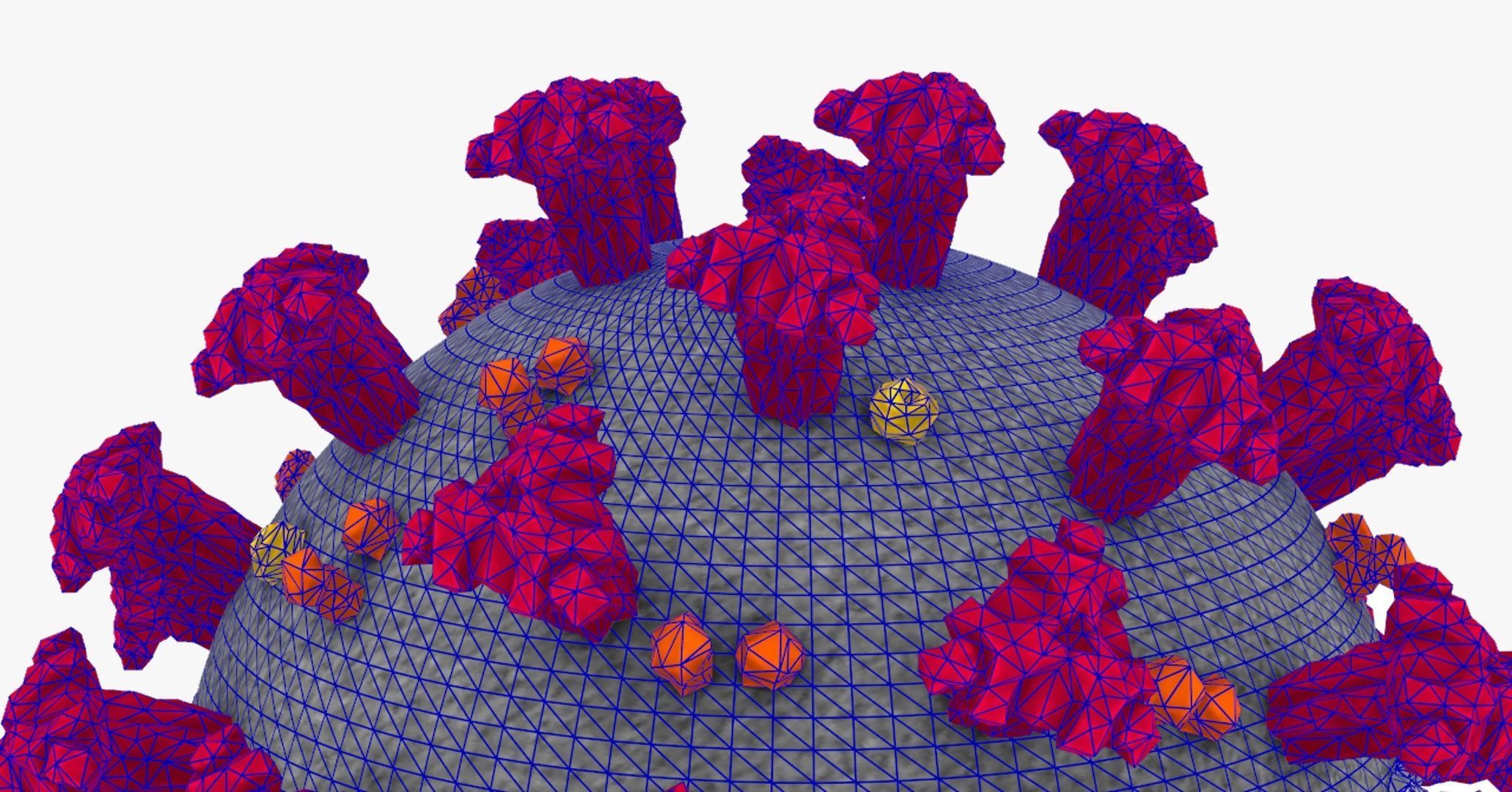 Coronavirus Covid-19 3D model_5