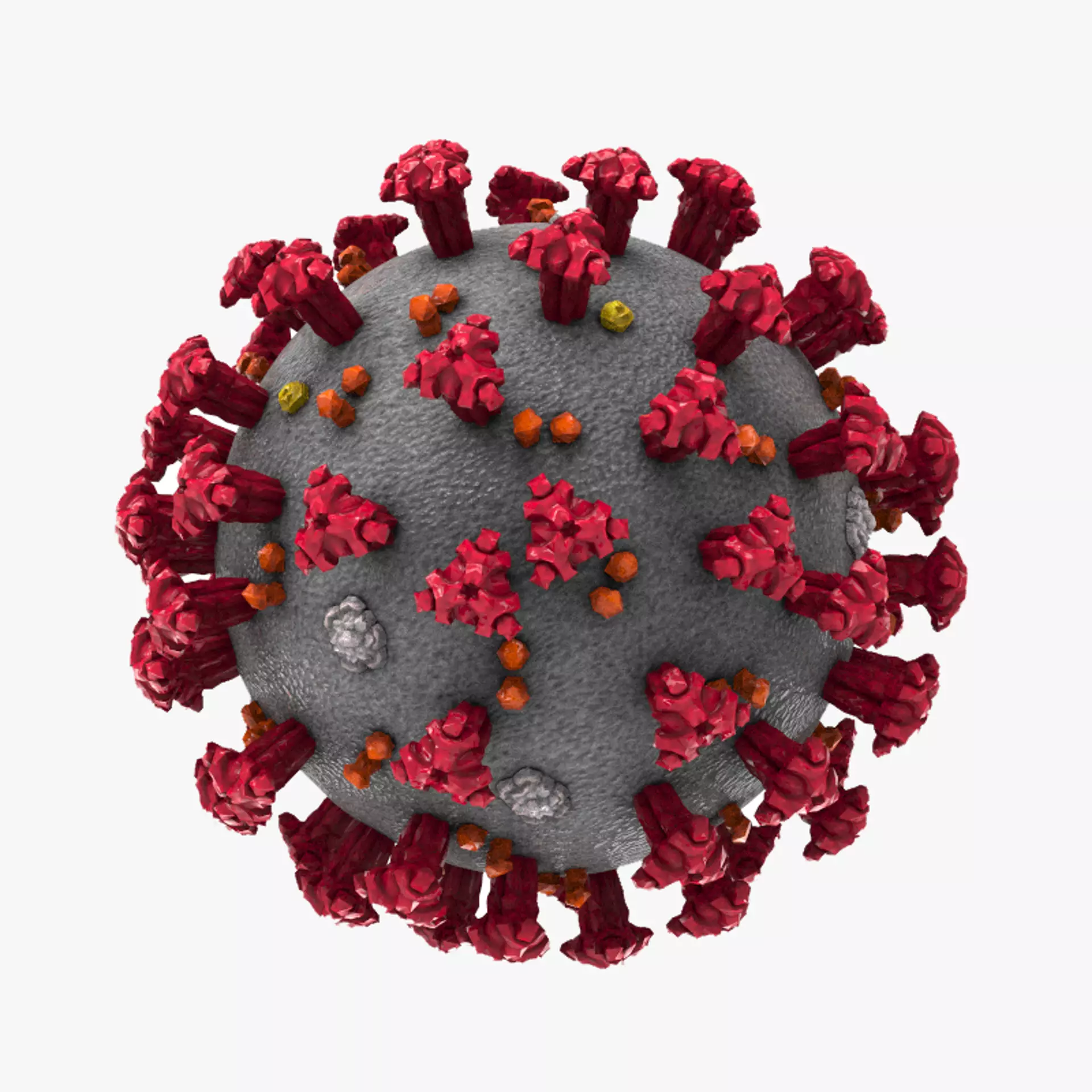 Coronavirus Covid-19 3D model_0