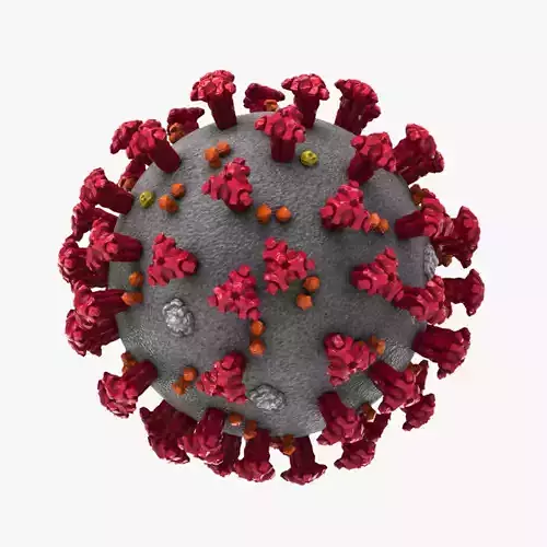Coronavirus Covid-19 3D model