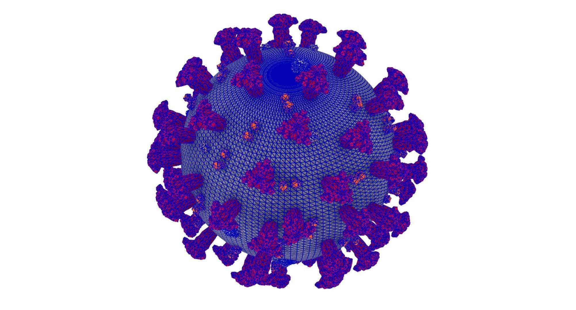 Coronavirus Covid-19 3D model_3