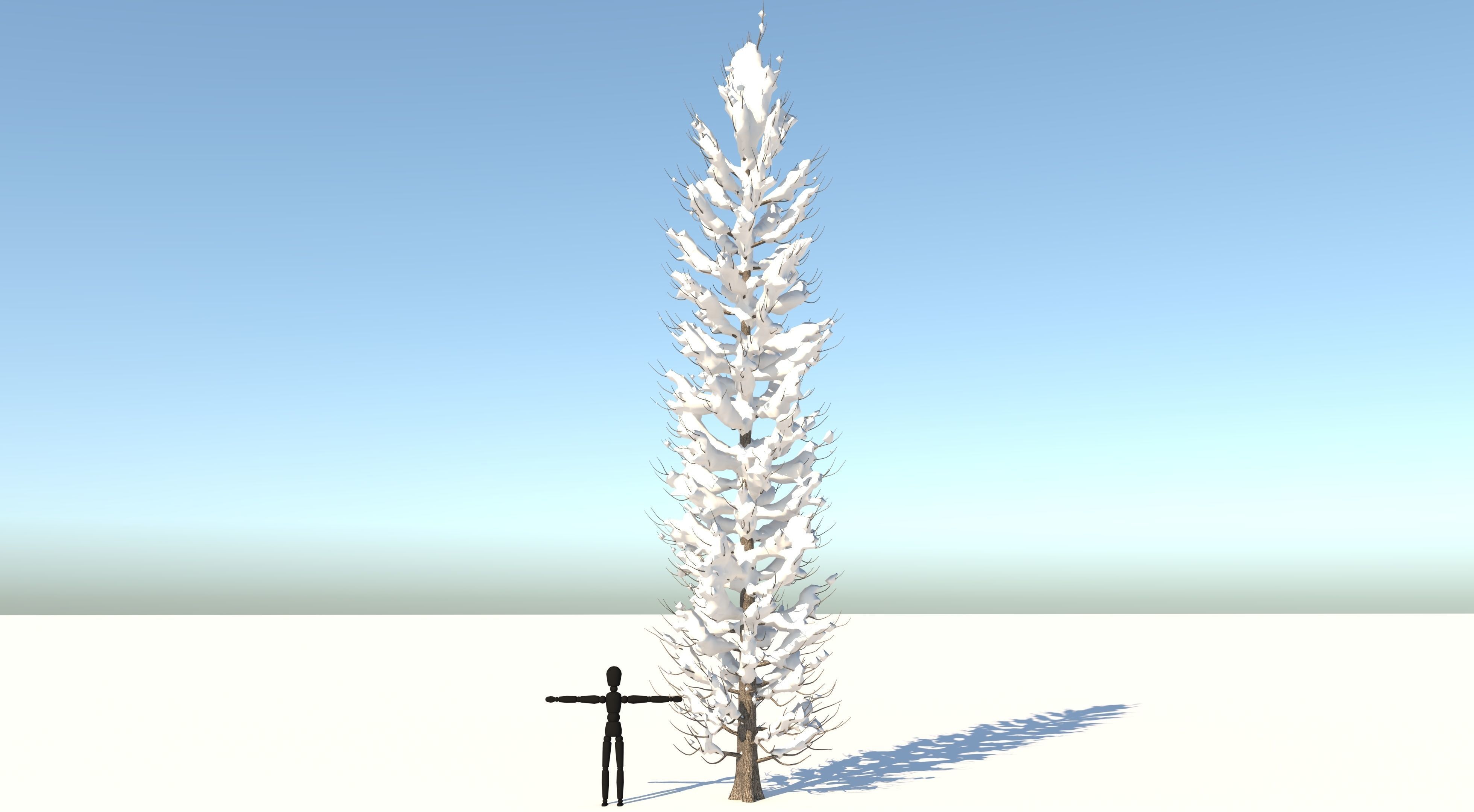 Snow Tuscan Cypress Tree Low-poly 3D model_1