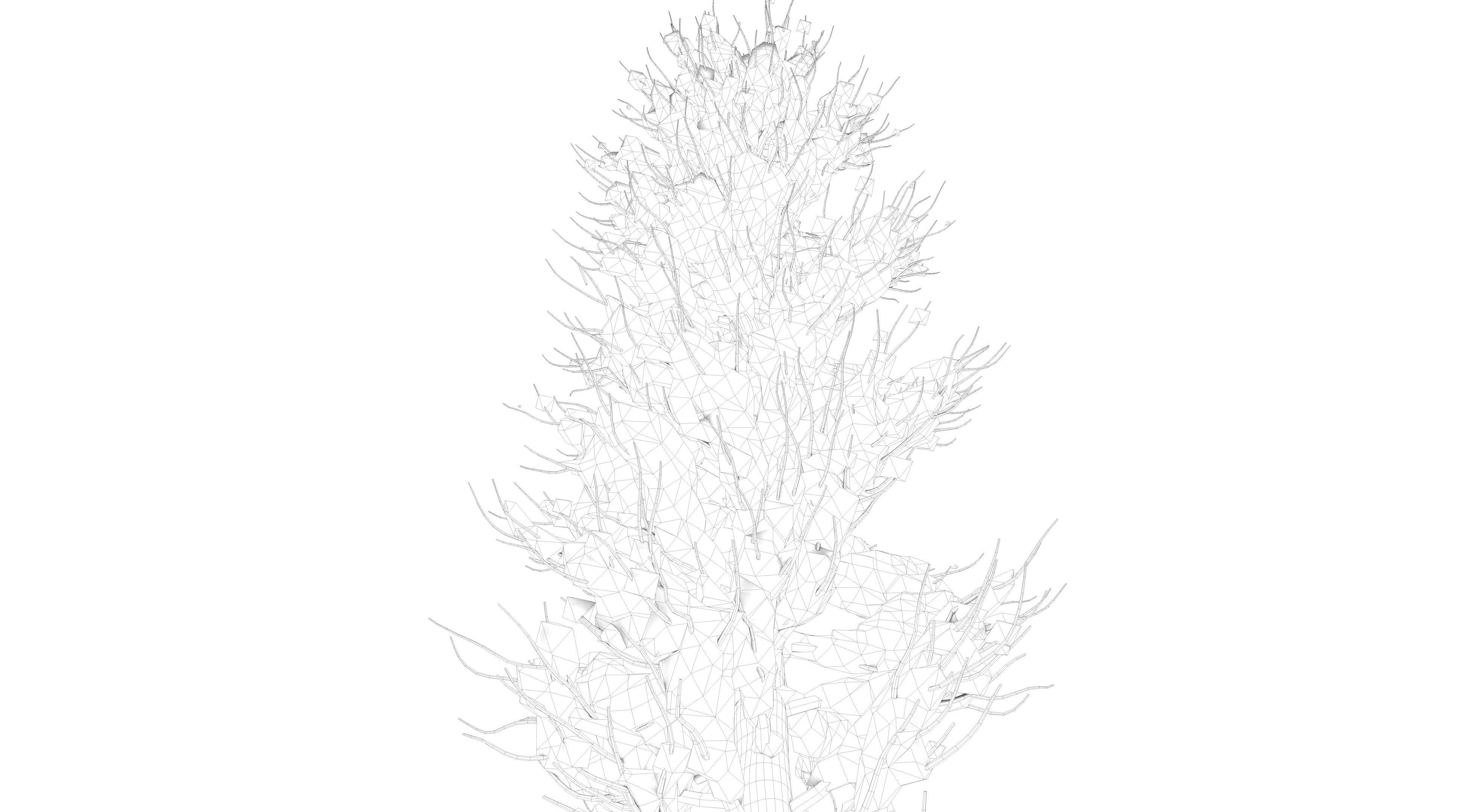 Snow Tuscan Cypress Tree Low-poly 3D model_15