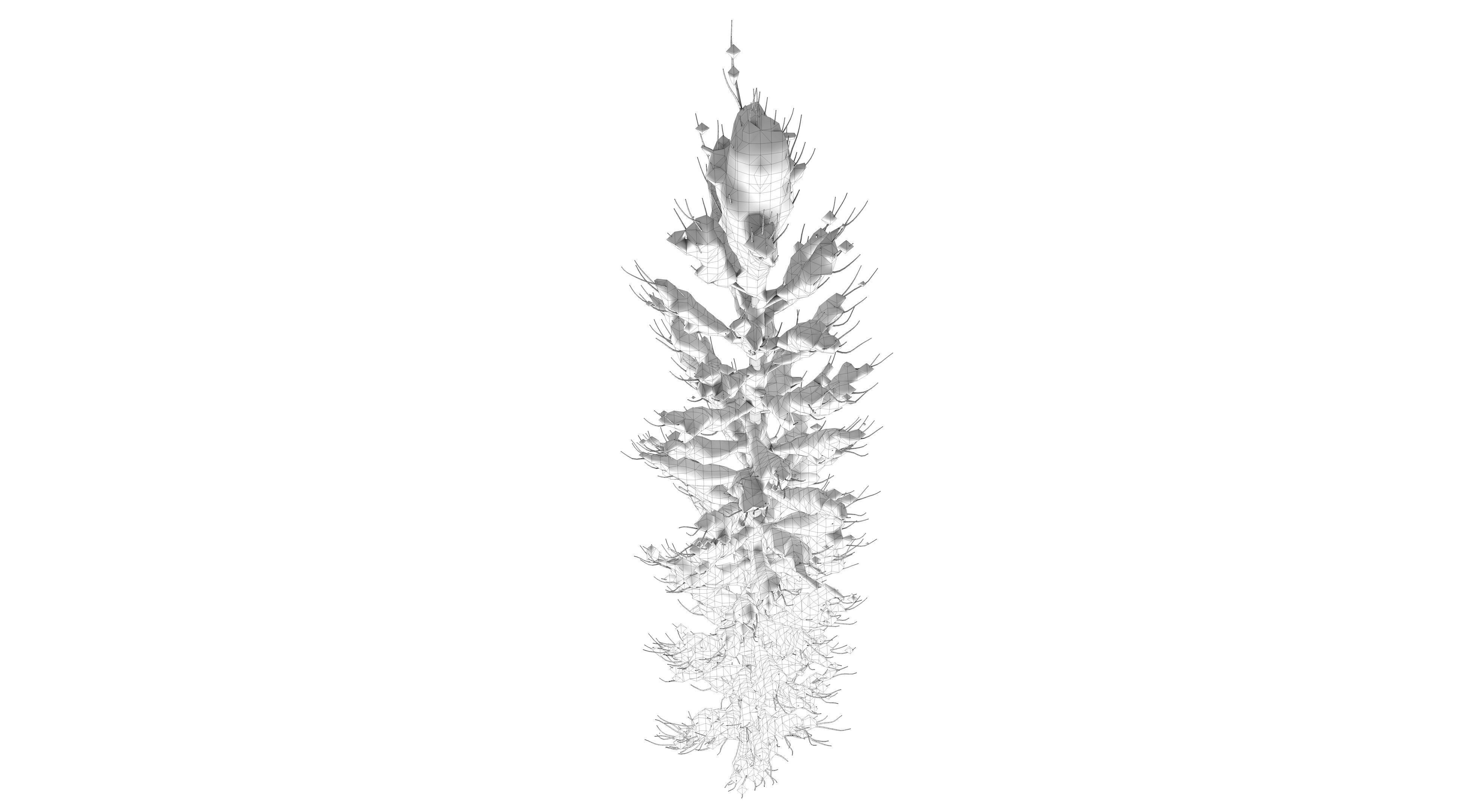 Snow Tuscan Cypress Tree Low-poly 3D model_11