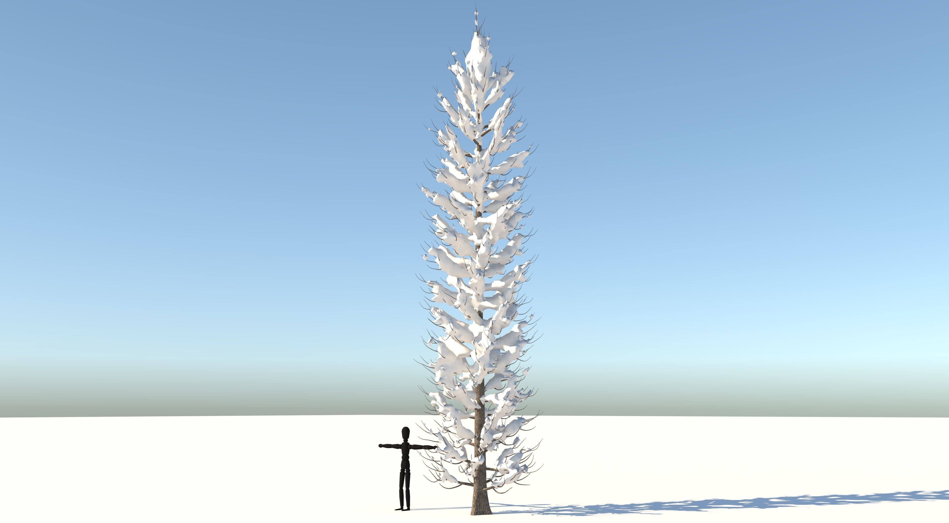 Snow Tuscan Cypress Tree Low-poly 3D model_2