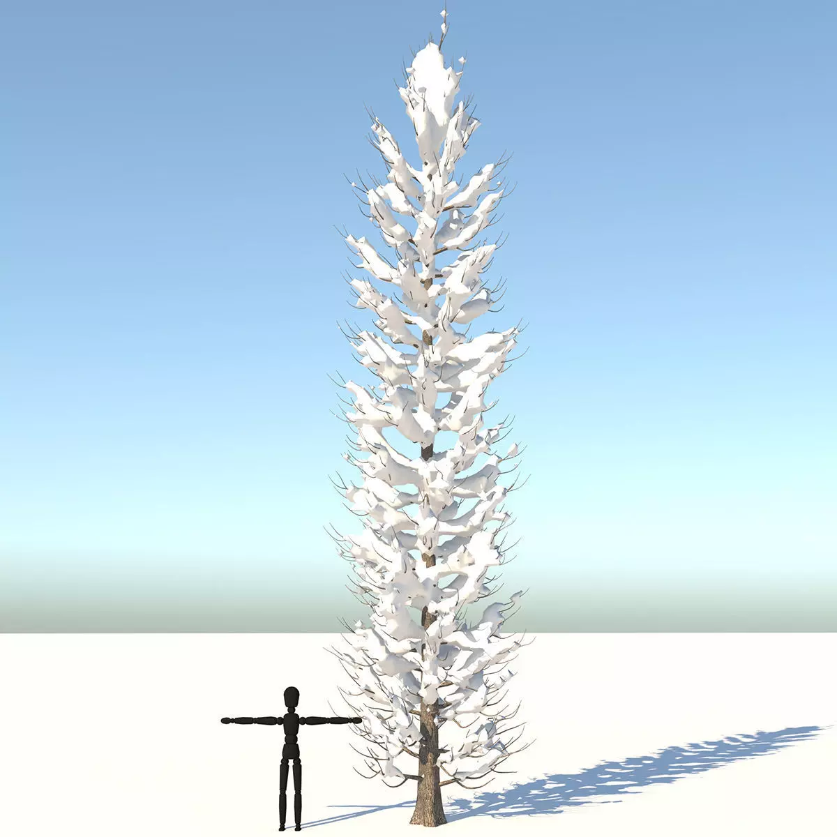 Snow Tuscan Cypress Tree Low-poly 3D model_0