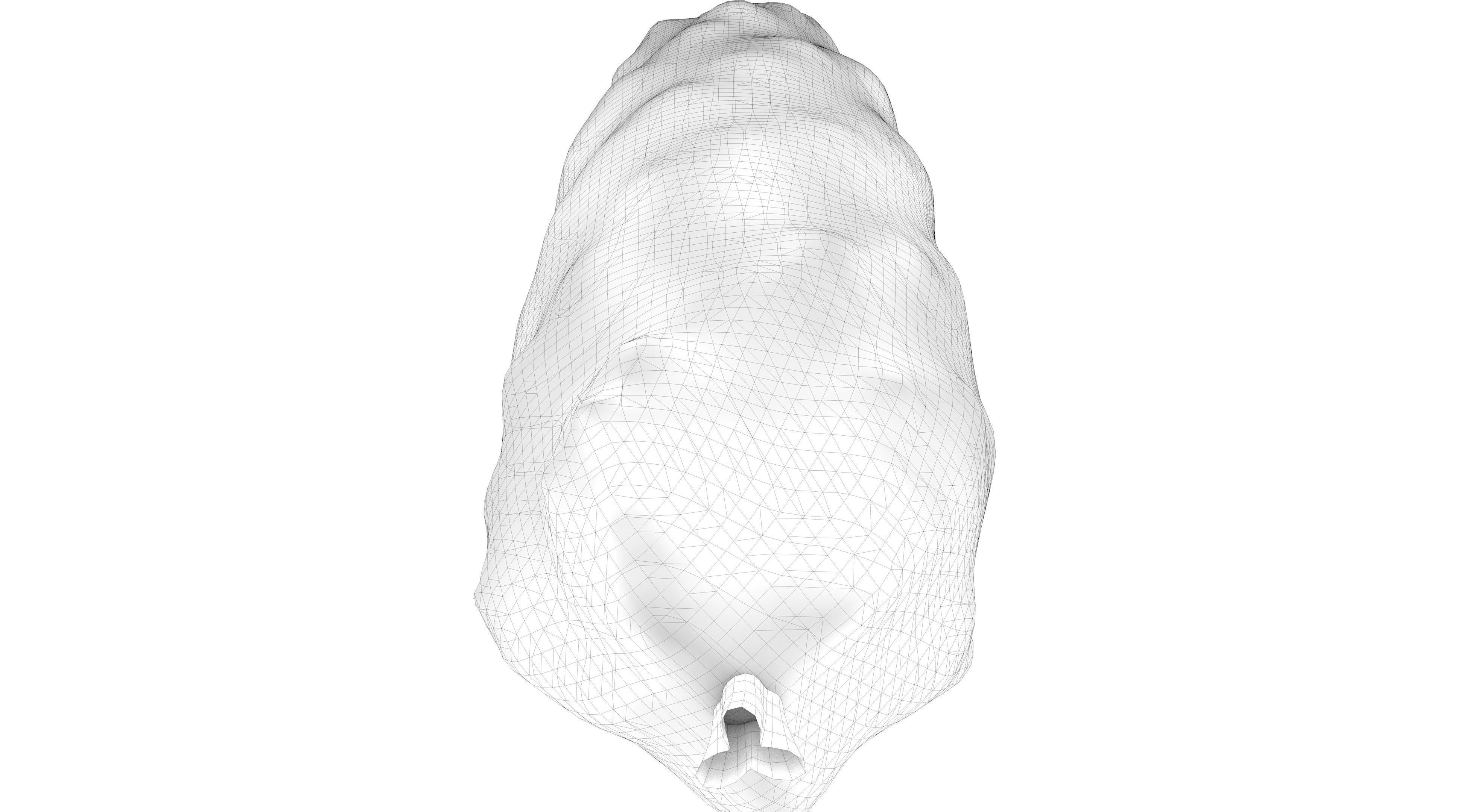 Tuscan Cypress Tree Low-poly 3D model_12