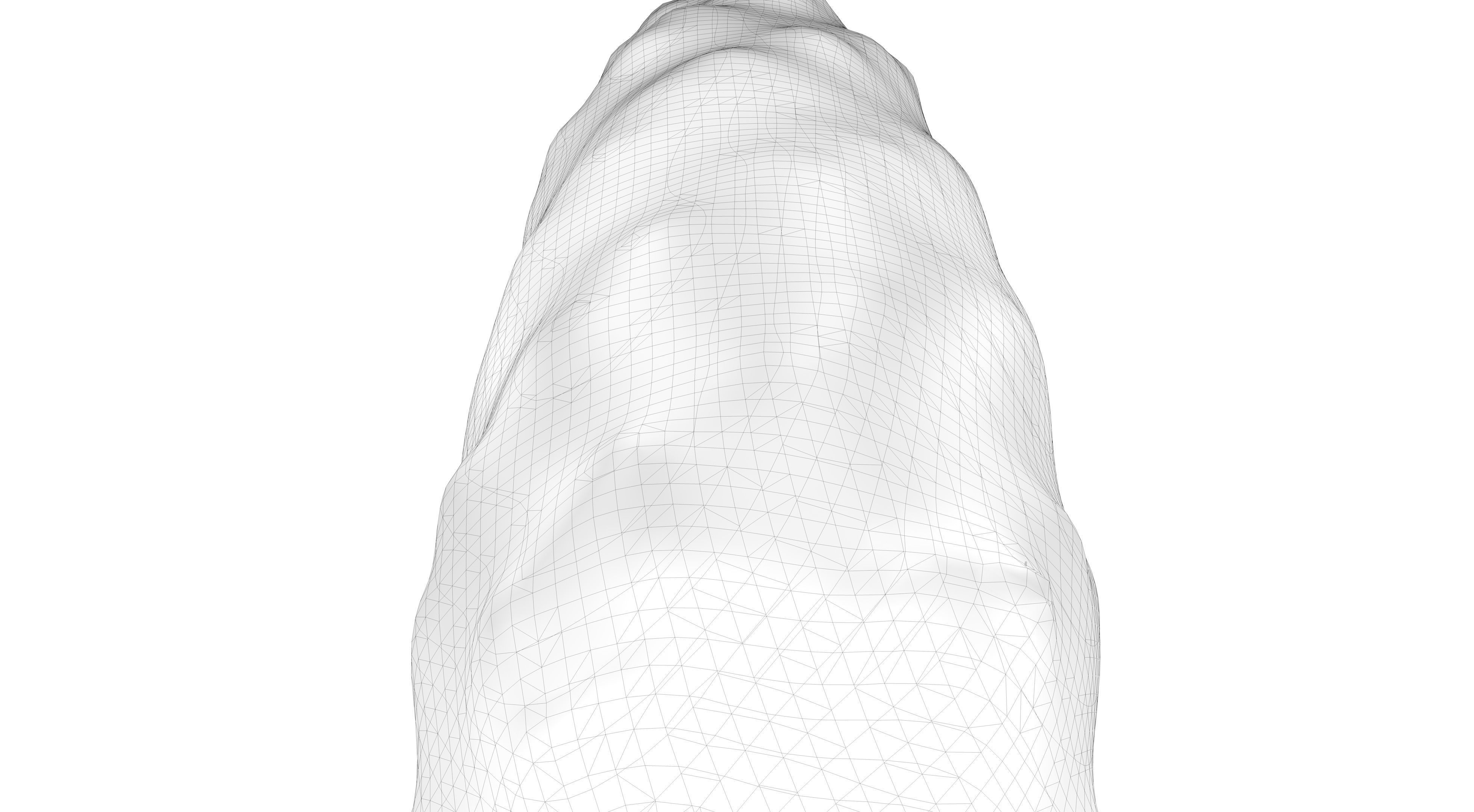 Tuscan Cypress Tree Low-poly 3D model_14