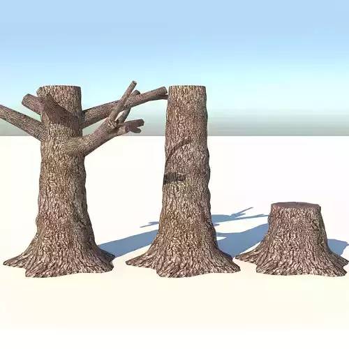 Tree Billet Collection