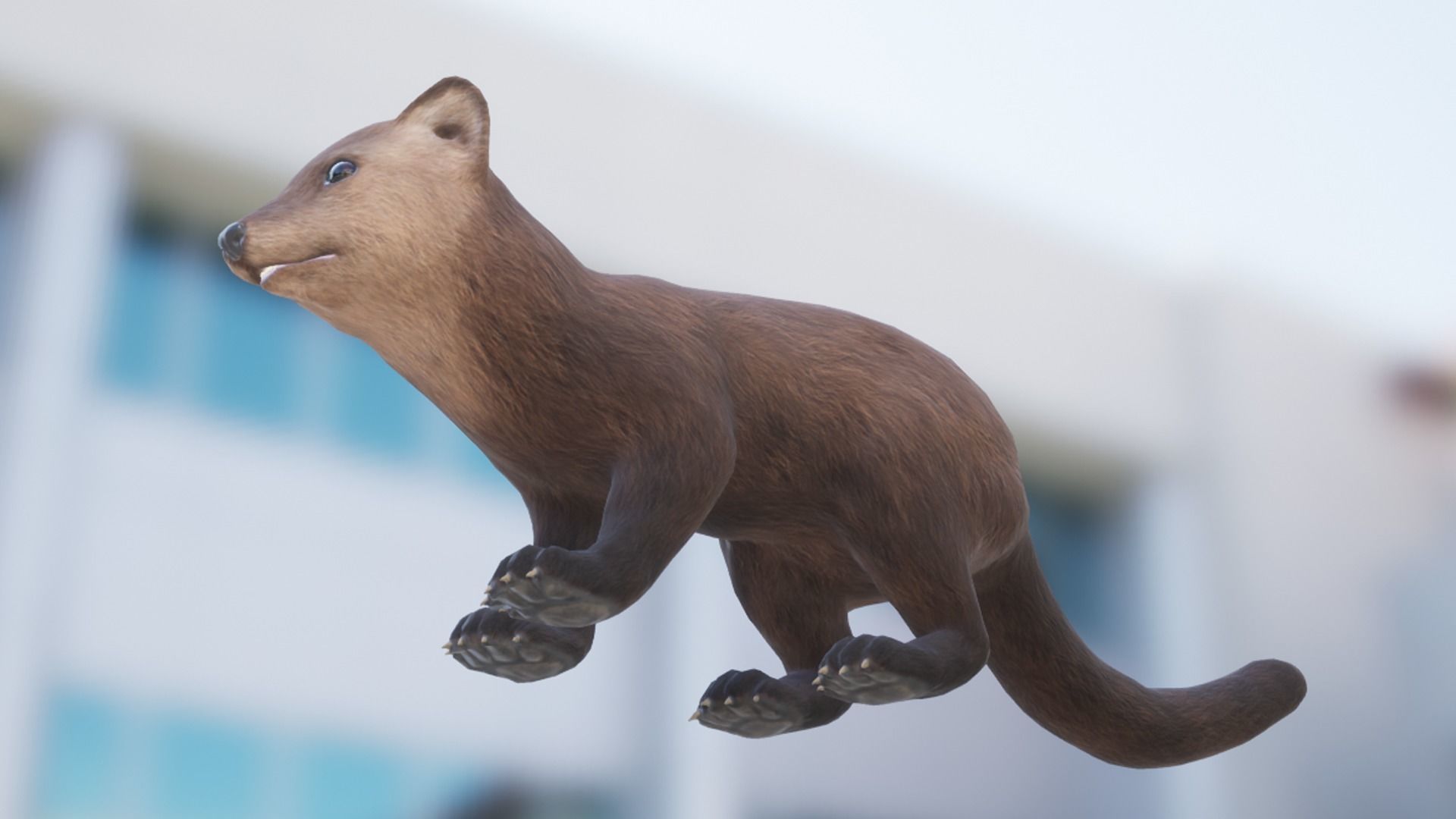 Marten  Low-poly 3D model_11