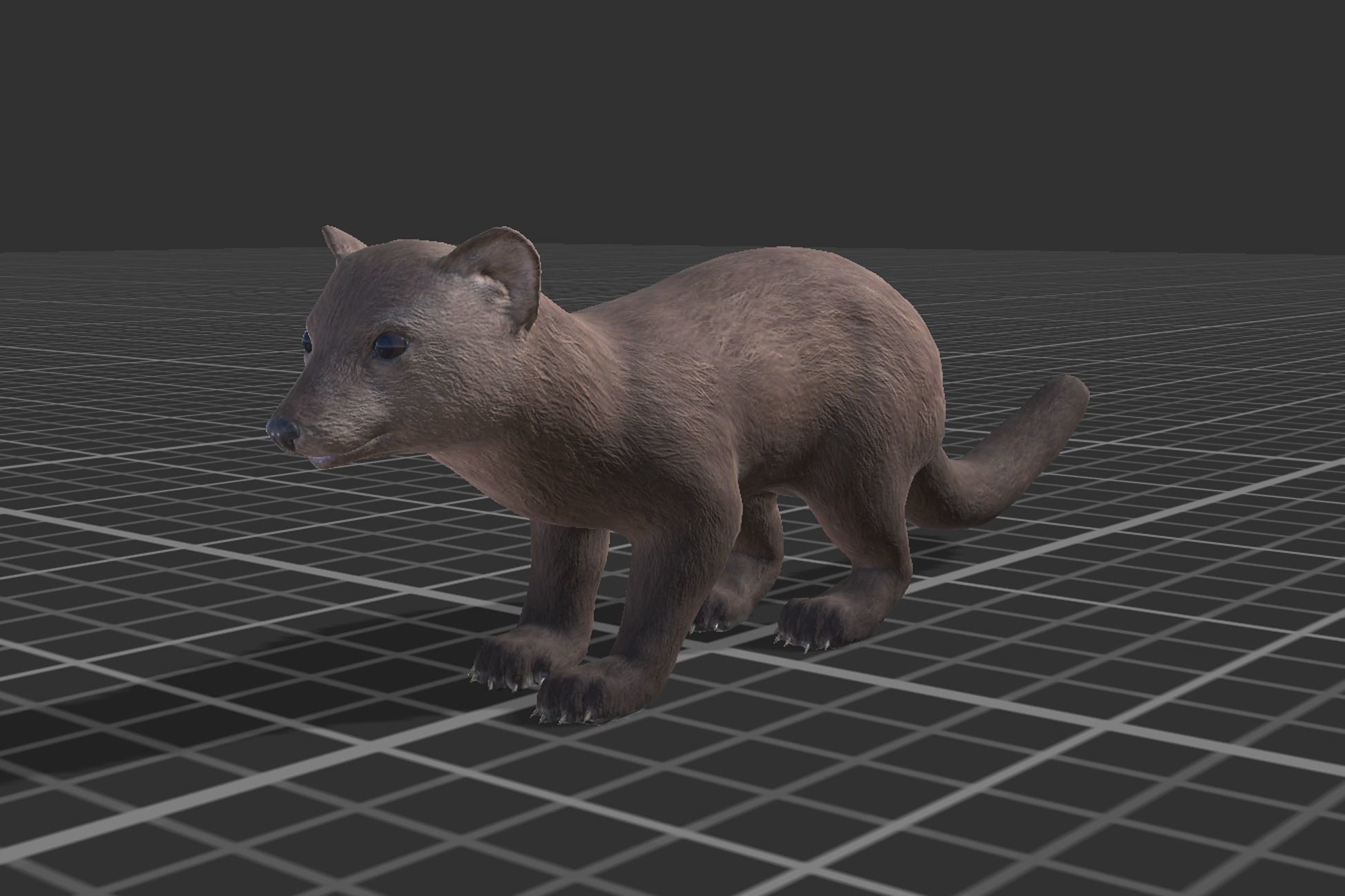 Marten  Low-poly 3D model_3
