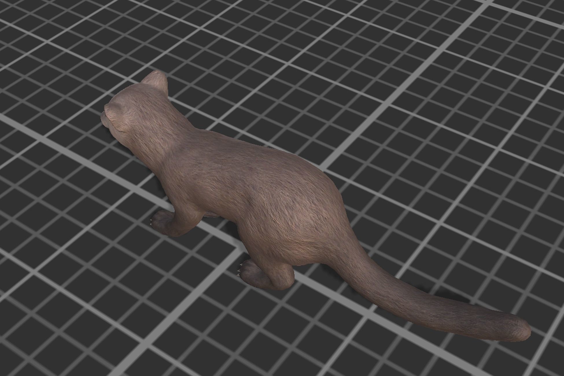 Marten  Low-poly 3D model_4