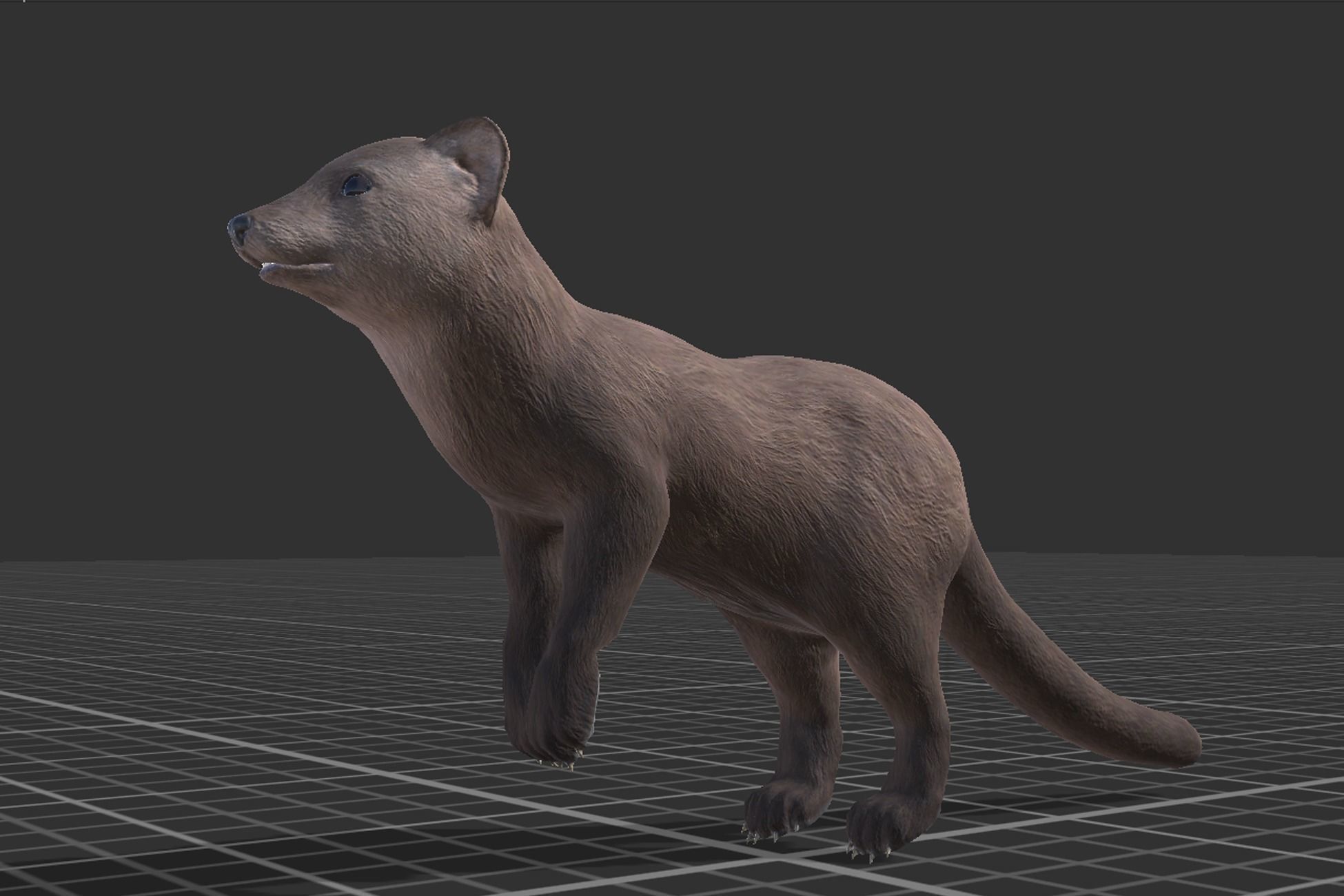 Marten  Low-poly 3D model_6