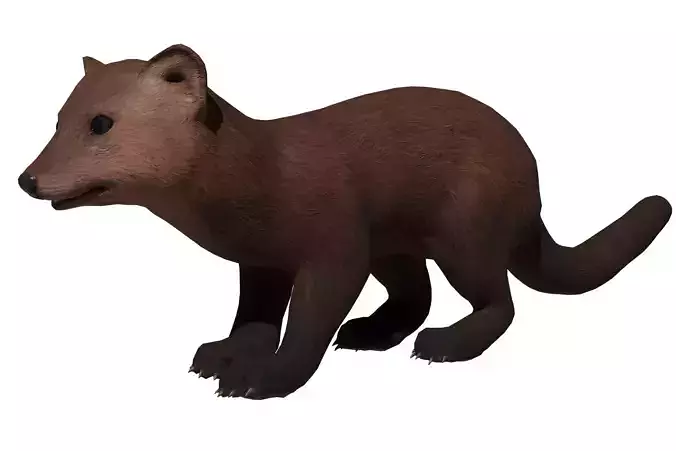 Marten  Low-poly 3D model