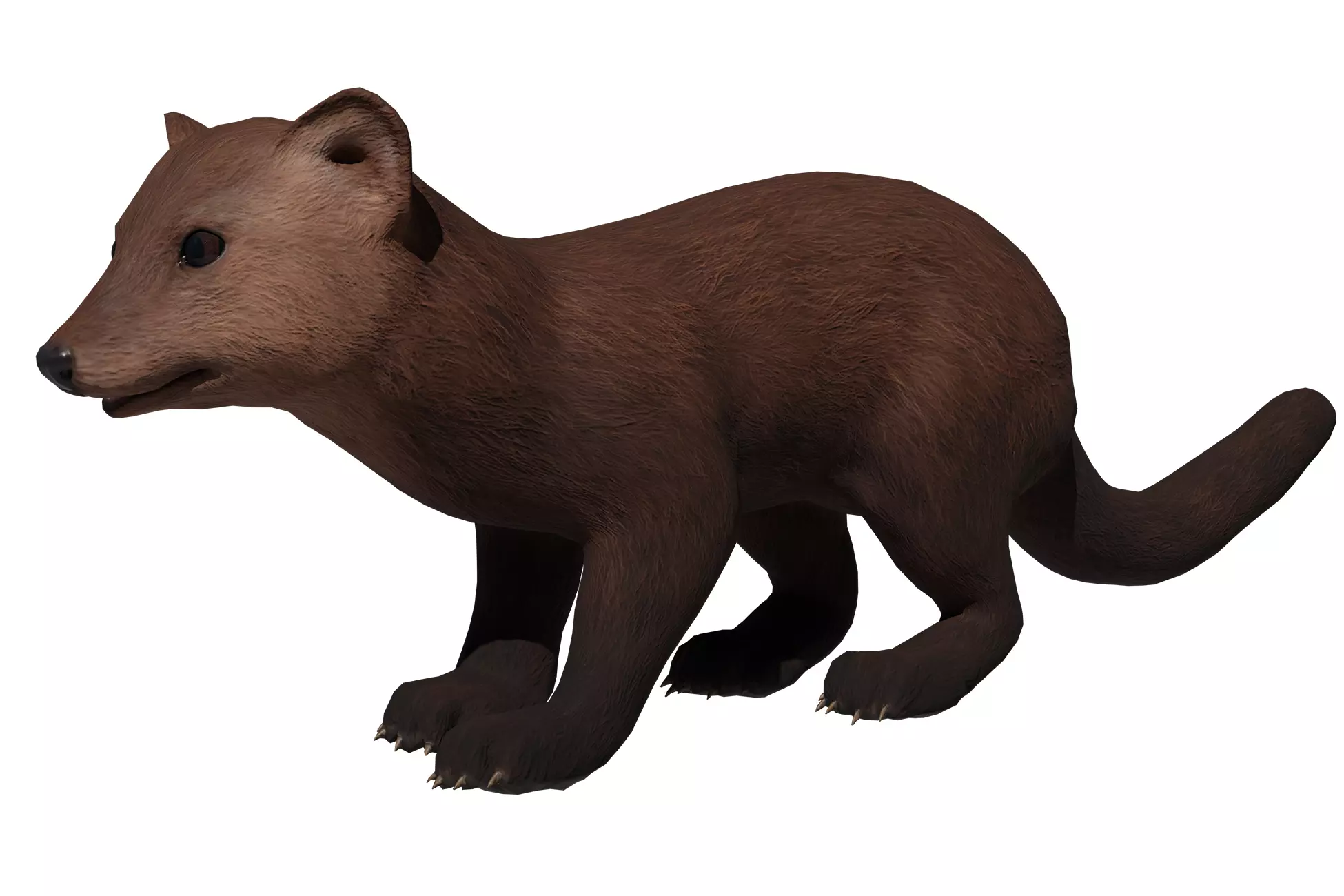 Marten  Low-poly 3D model_0