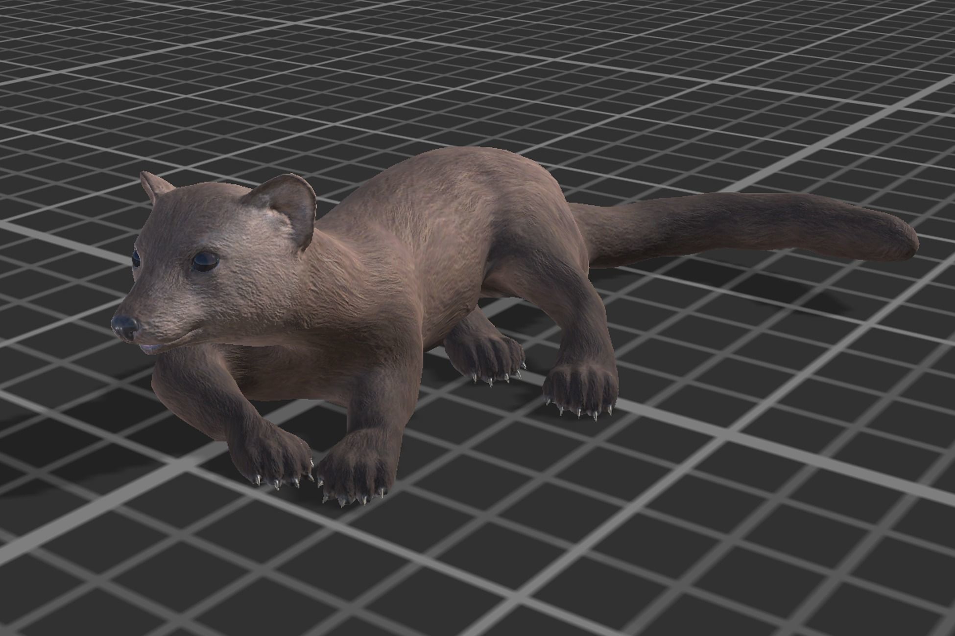 Marten  Low-poly 3D model_7
