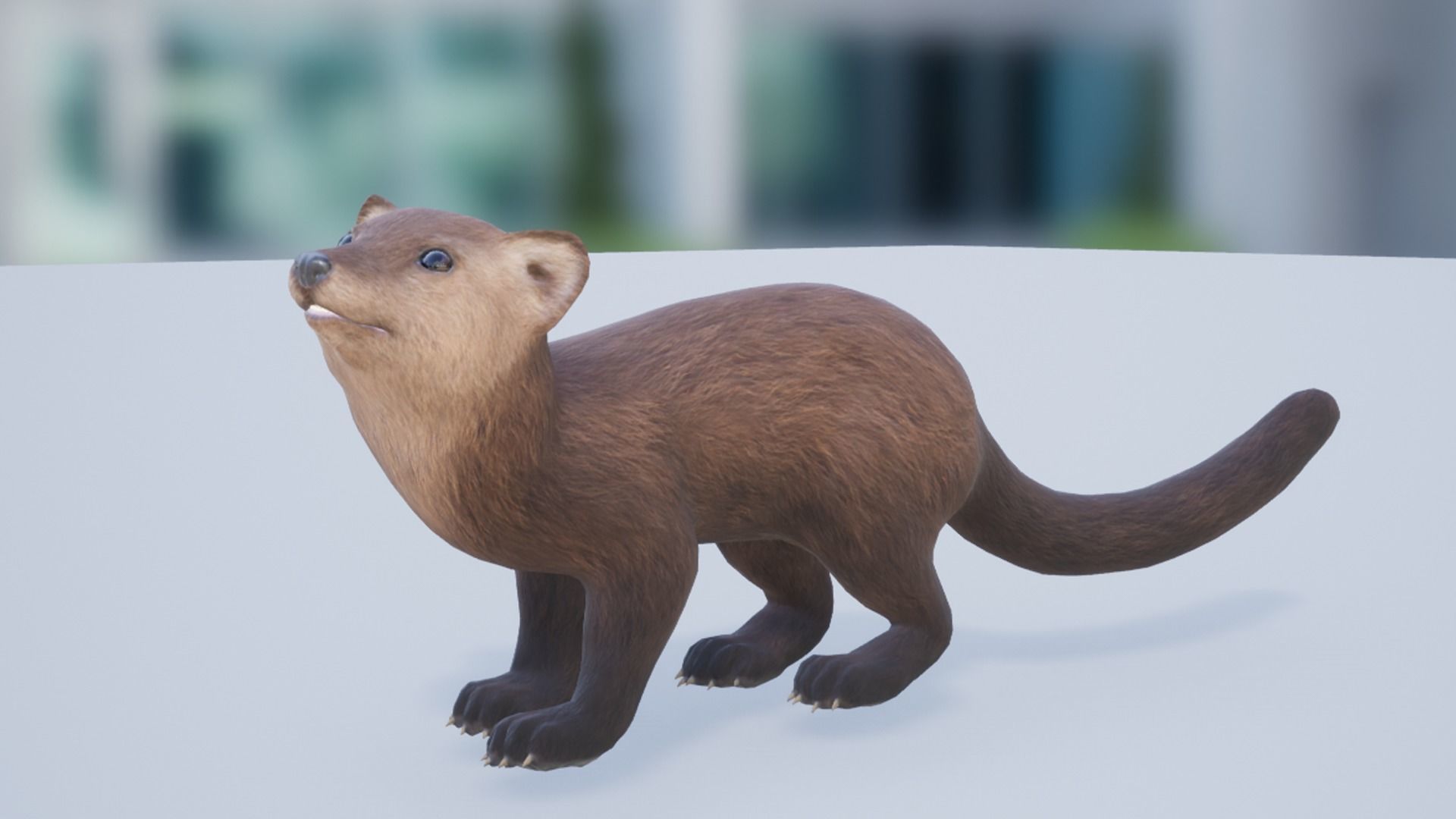 Marten  Low-poly 3D model_13
