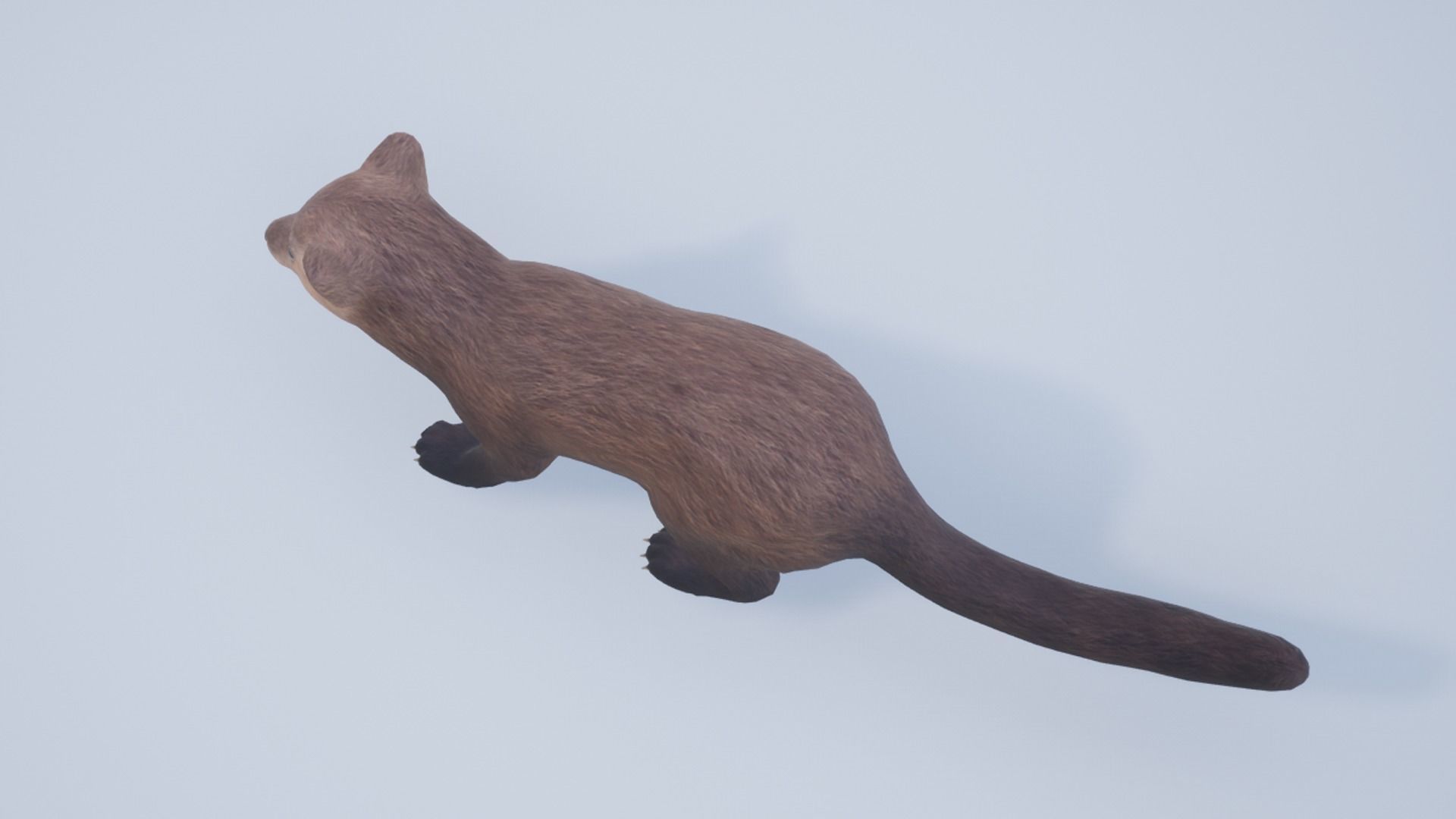 Marten  Low-poly 3D model_10