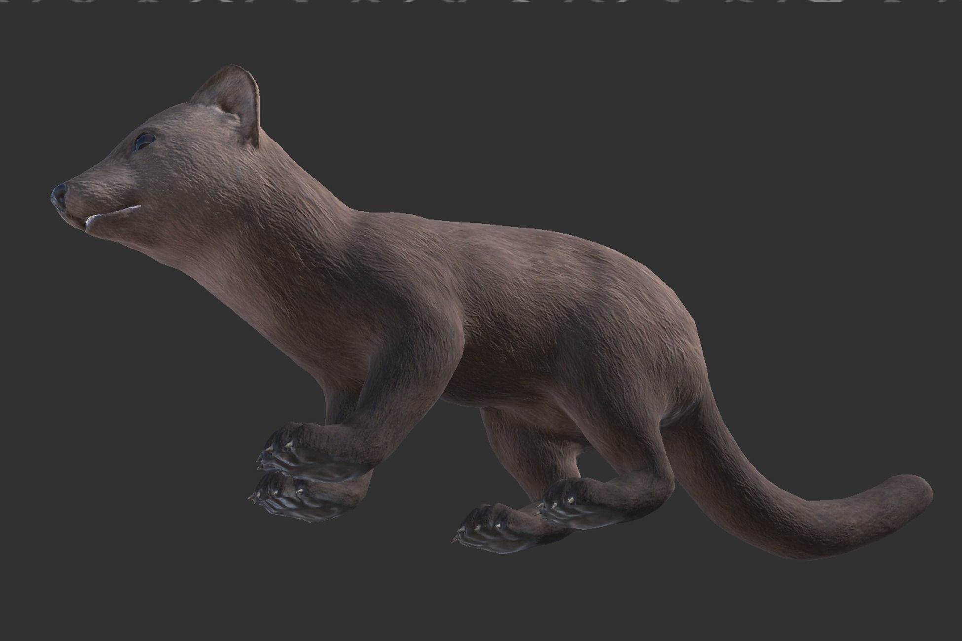 Marten  Low-poly 3D model_5