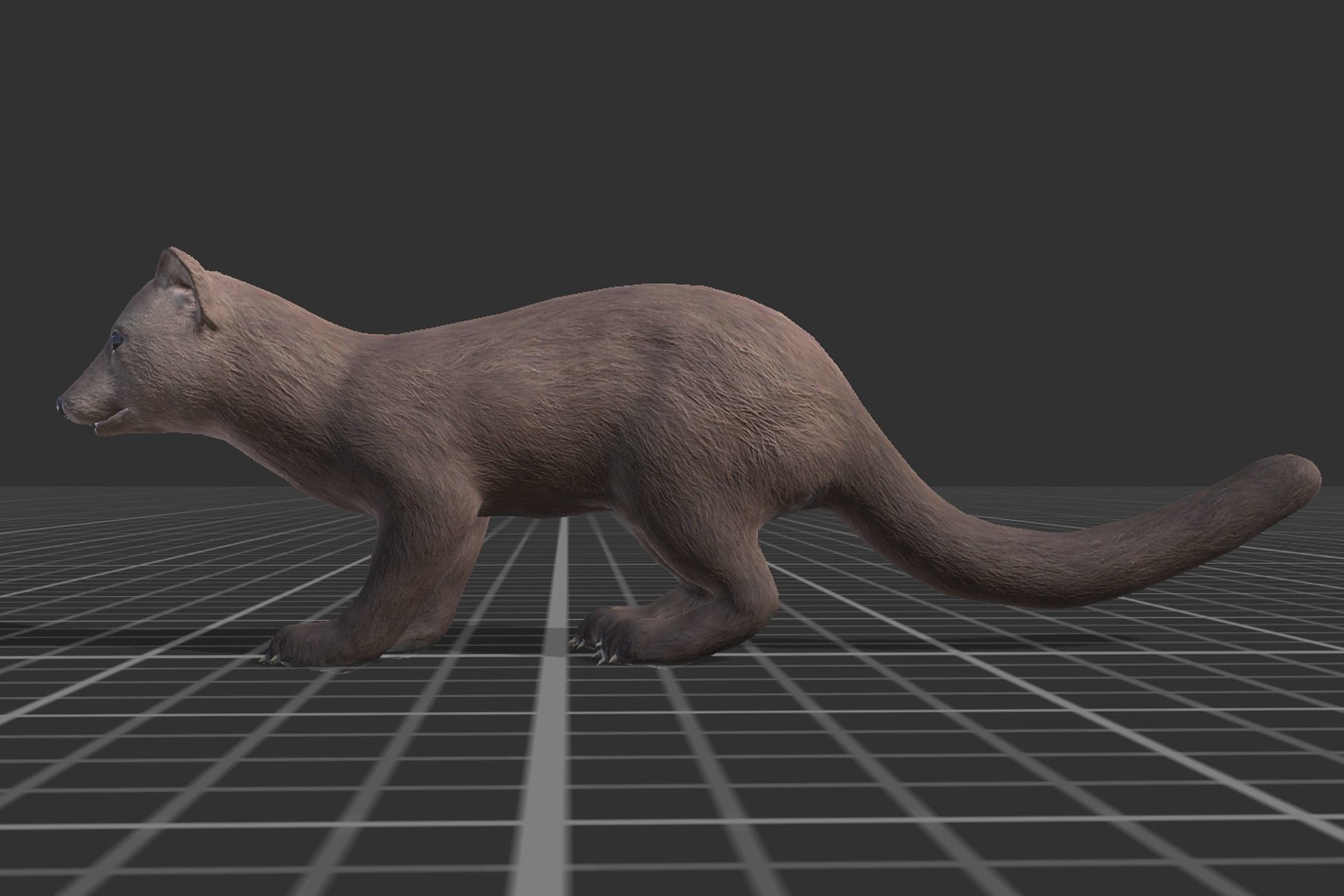 Marten  Low-poly 3D model_2