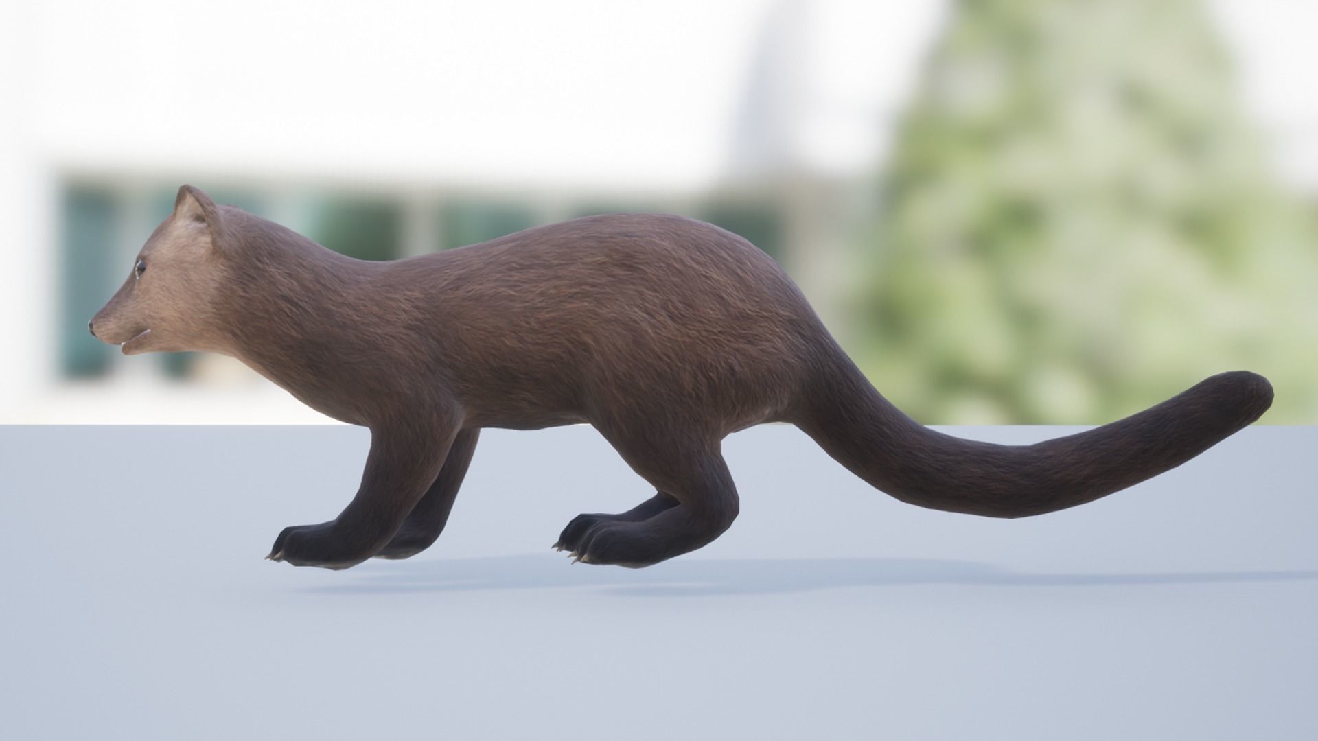 Marten  Low-poly 3D model_8